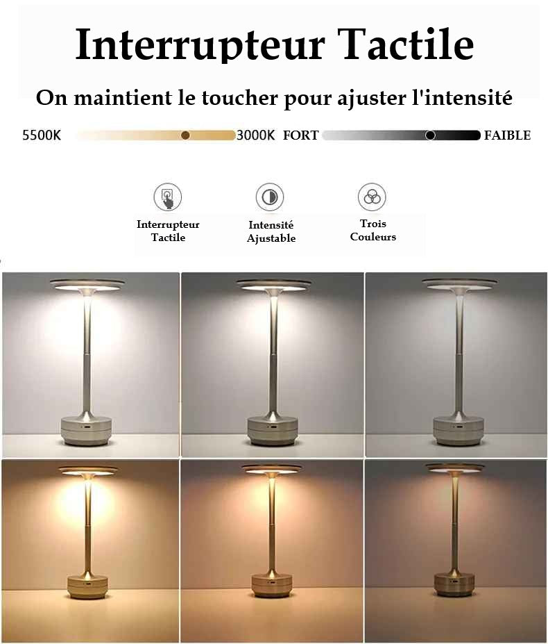 Lampe MoedernTouch de couleurs argent et or pour démontré qu'elle s'ajuste par gradation au maintient pour obtenir une luminosité variant de 3000K à 5500K ou trois intensités d'éclairage au simple touché tactile : chaud, neutre et froid