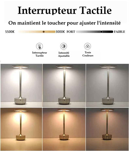 Lampe MoedernTouch de couleurs argent et or pour démontré qu'elle s'ajuste par gradation  au maintient pour obtenir une luminosité variant de 3000K à 5500K ou  trois intensités  d'éclairage au simple touché tactile : chaud, neutre et froid